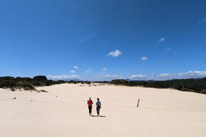 7-Day Super Value Tour of Tasmania: Explore Tasmania's West and East Coasts - Day 6: Bonorong, Richmond, and kunanyi