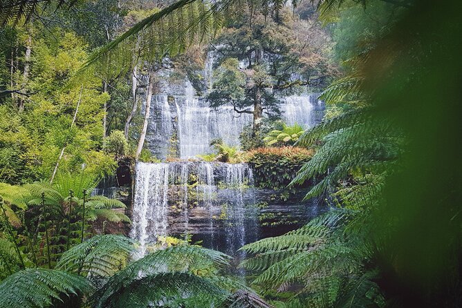7-Day Super Value Tour of Tasmania: Explore Tasmania's West and East Coasts - Day 1: Russell Falls, rainforest, Lake St Clair, and Queenstown