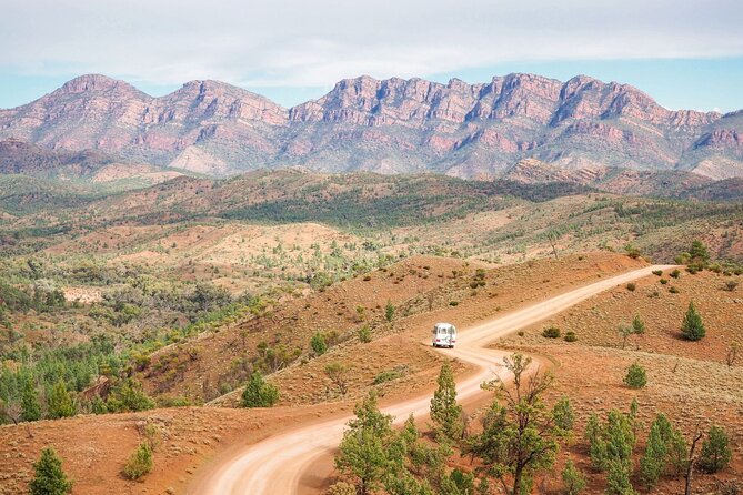 7 Day Uluru to Adelaide Cultural and Adventure Tour - Kata Tjuta and the Uluru Base Walk