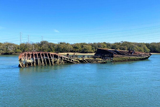 90 Minute Port River Dolphin & Ships Graveyard Cruise - Searching the Adelaide Dolphin Sanctuary