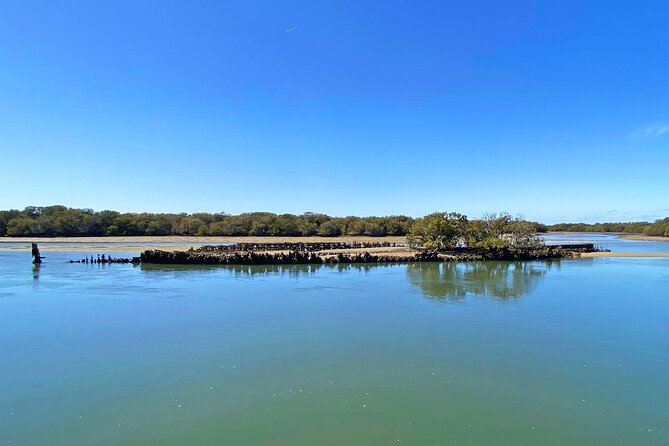 90 Minute Port River Dolphin & Ships Graveyard Cruise - Cruising Port Adelaide’s maritime past