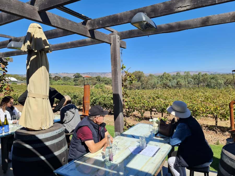 A Barossa Valley pickup: Wine and Heritage Tour, Local Guide - Who should book this tour?