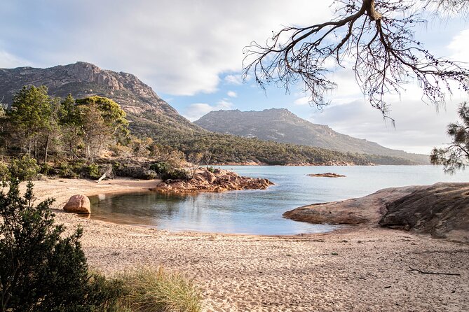A Day At Wineglass Bay - Wineglass Bay Lookout Rewards The Uphill Walk