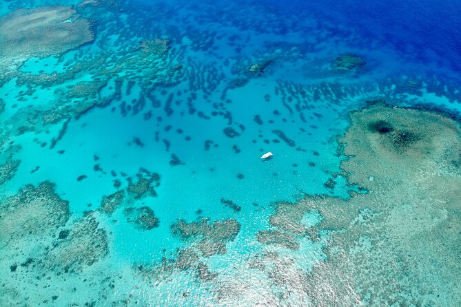 ABC Reef Safaris - Second reef stop and the value of going farther