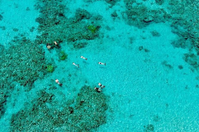 ABC Reef Safaris - Equipment that makes beginners more comfortable