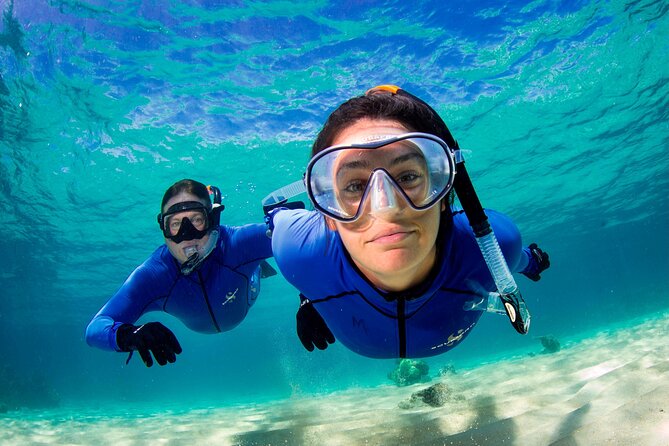 ABC Reef Safaris - Optional scuba for first-timers