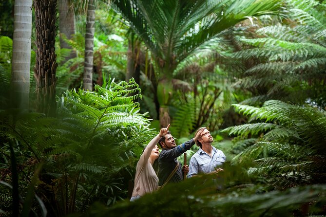 Aboriginal Heritage Walk - Royal Botanic Gardens Victoria, Melbourne Gardens - Seeing Melbourne Gardens Through Kulin Eyes