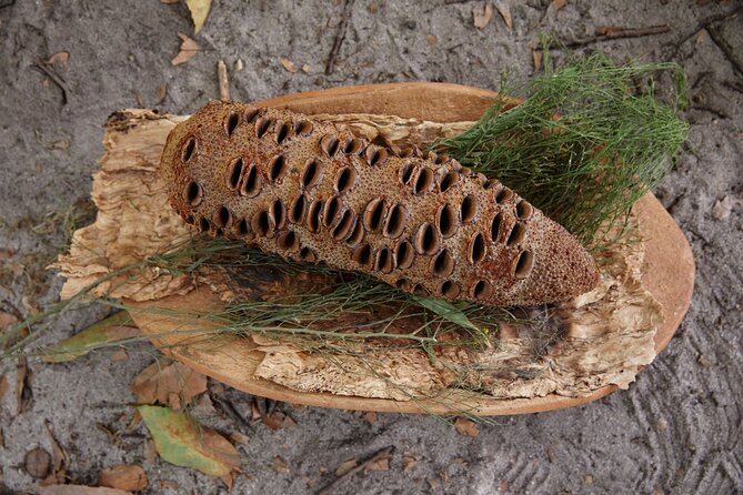 Aboriginal Heritage Walk - Royal Botanic Gardens Victoria, Melbourne Gardens - Price and What You Receive for $30.51