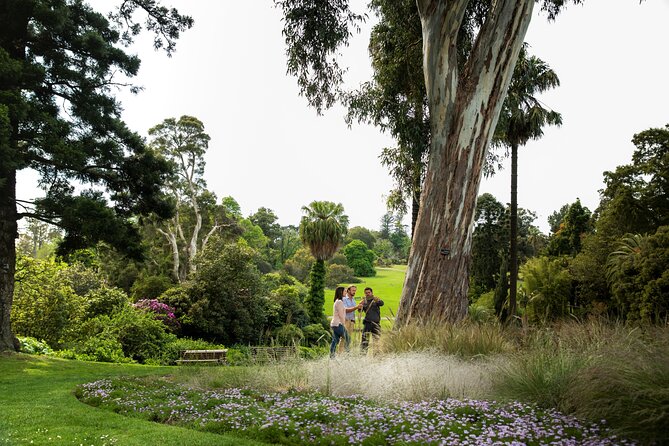 Aboriginal Heritage Walk - Royal Botanic Gardens Victoria, Melbourne Gardens - A Few Practical Points Before You Go