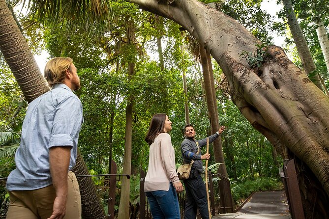 Aboriginal Heritage Walk - Royal Botanic Gardens Victoria, Melbourne Gardens - The Royal Botanic Gardens Setting