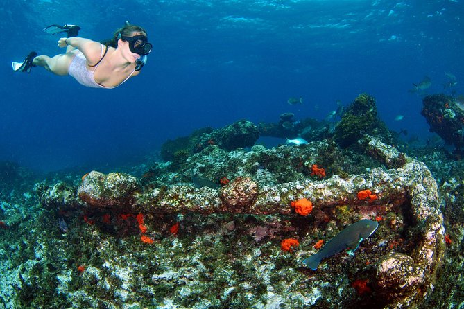 Abrolhos Islands 5 Day Cruise - Days two through four: reefs, birds, and crayfish pots