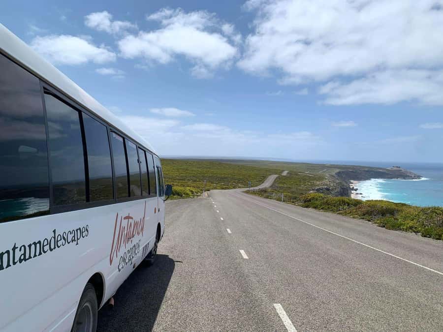 Adelaide: 3-Day Kangaroo Island Adventure Tour with Camping - Day two: sea lions, fur seals, and 500-million-year-old rocks