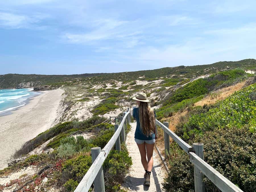 Adelaide: 3-Day Kangaroo Island Adventure Tour with Camping - Day one: ferry views, honey, wine, and Antechamber Bay