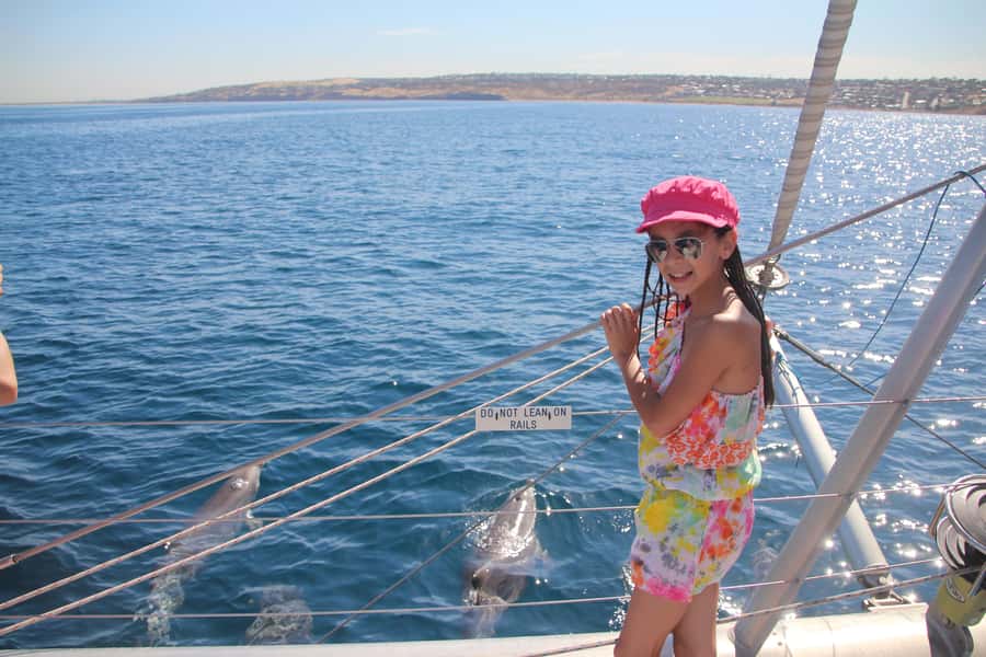 Adelaide: 4-Hour Guaranteed Wild Dolphin Watching Cruise - Is $63 good value for 210 minutes?