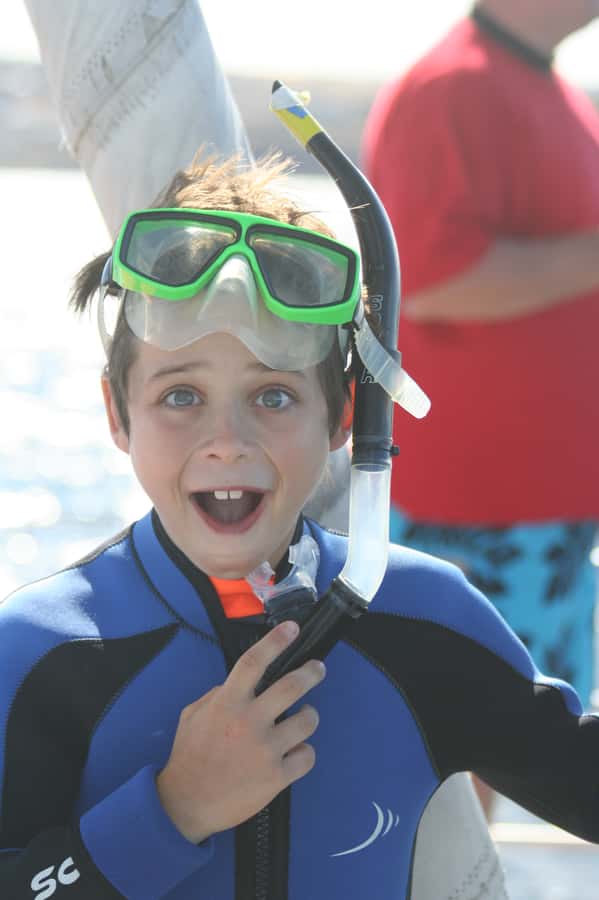 Adelaide: 4-Hour Swimming with Dolphins Experience - Is $105 good value?