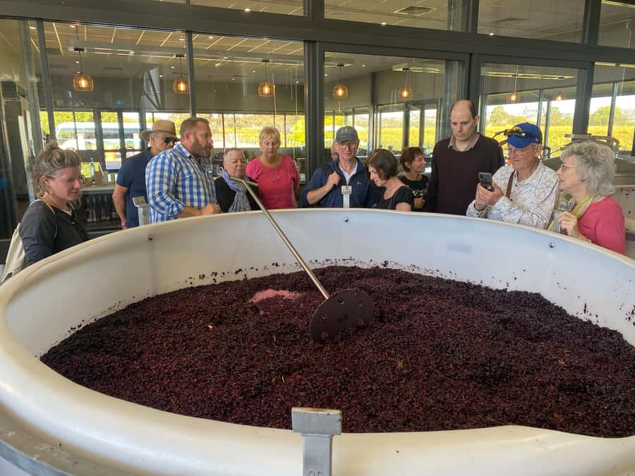 Adelaide: Barossa Premium Wine Tasting tour & Winery Lunch - How much wine will you taste?