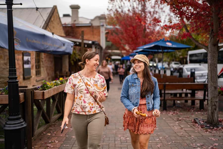 Adelaide: City, Adelaide Hills Villages, and Hahndorf Tour - Mount Lofty Summit and the Adelaide view