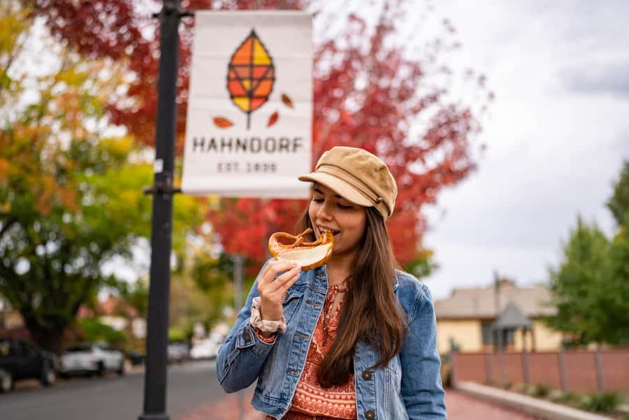 Adelaide: City, Adelaide Hills Villages, and Hahndorf Tour - Through Crafers, Stirling, Aldgate, and Bridgewater