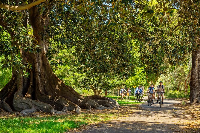 Adelaide City to Sea Bike Tour - Starting at 111 Franklin Street