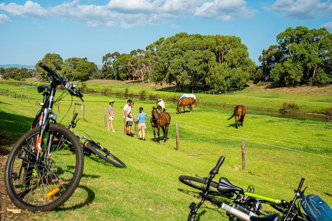 Adelaide City to Sea Bike Tour - The coast from Henley Beach to Glenelg