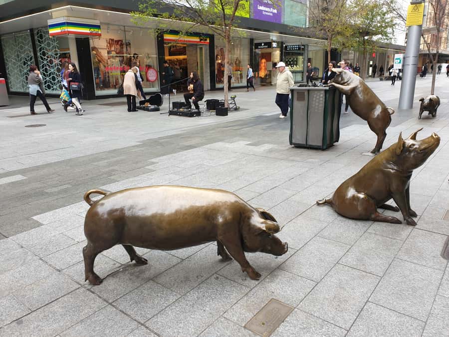 Adelaide: City Walking Tour with Guide - What the $31 price really buys you