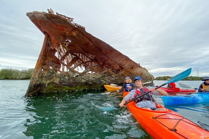 Adelaide Dolphin Sanctuary and Ships Graveyard Kayak Tour - How hard is the three-hour paddle?