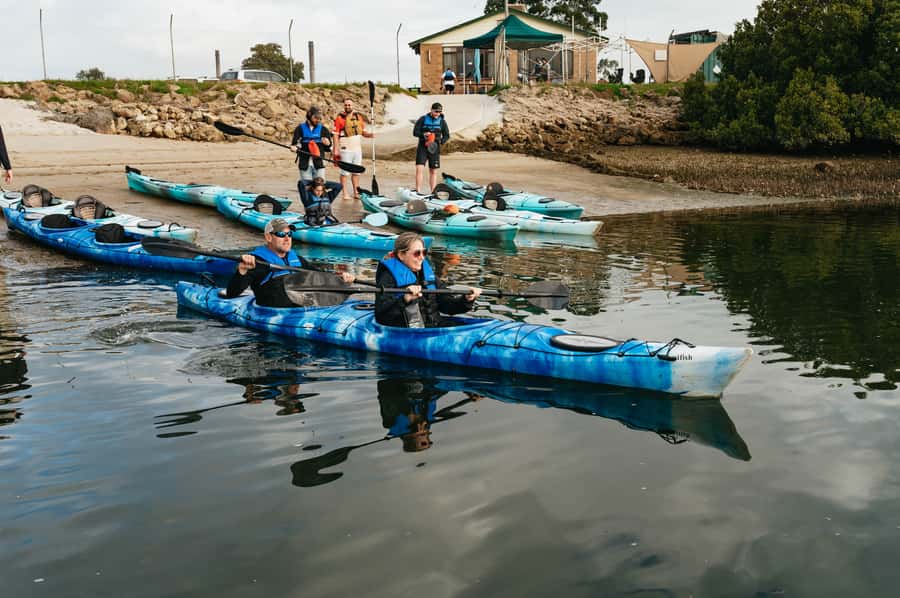 Adelaide: Dolphin Sanctuary Eco Kayaking Tour - Who should book this Adelaide kayak tour?