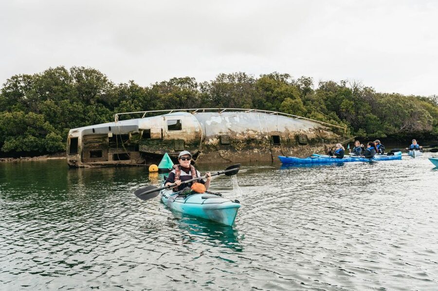 Adelaide: Dolphin Sanctuary Eco Kayaking Tour - Shipwrecks and the remains of Port Adelaide’s past