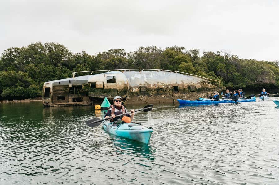 Adelaide: Dolphin Sanctuary Eco Kayaking Tour - How hard is three hours in a kayak?