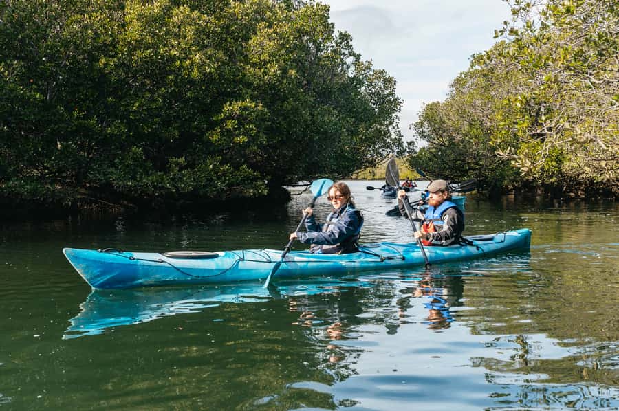 Adelaide: Dolphin Sanctuary Eco Kayaking Tour - Guides who make the difference