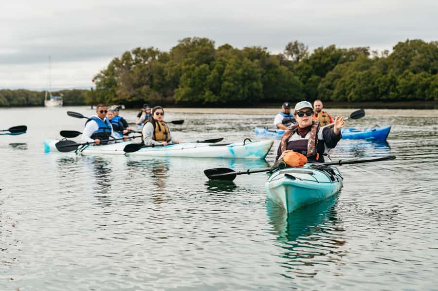 Adelaide: Dolphin Sanctuary Eco Kayaking Tour - Weather, tides, and what to pack