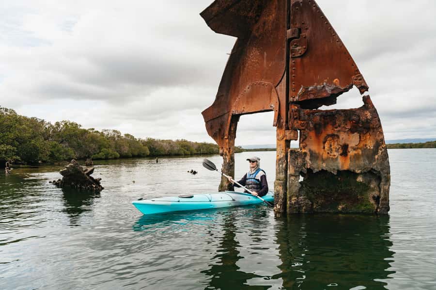 Adelaide: Dolphin Sanctuary Eco Kayaking Tour - Paddling into the 10,000-year-old mangroves