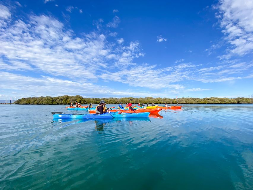 Adelaide: Dolphin Sanctuary Mangroves Kayak Tour - Guides who add more than paddle instructions