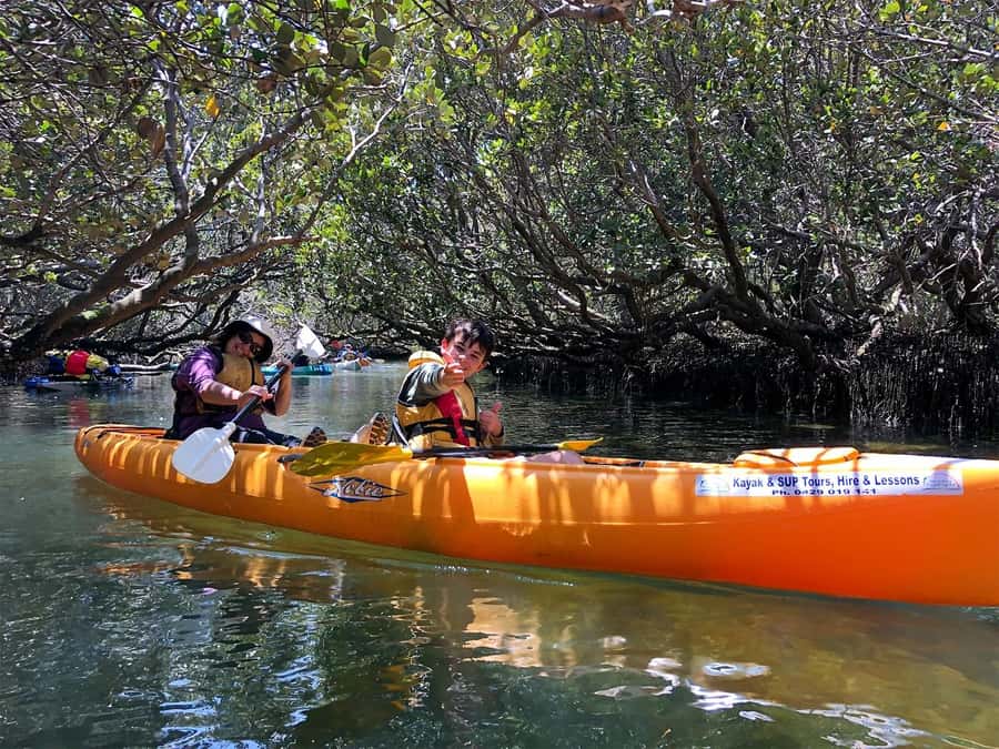 Adelaide: Dolphin Sanctuary Single or Double Kayak Rental - Key points to know before you paddle