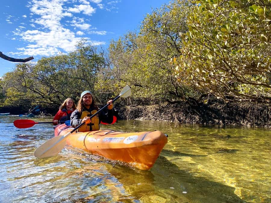 Adelaide: Dolphin Sanctuary Single or Double Kayak Rental - What the Garden Island launch gives you