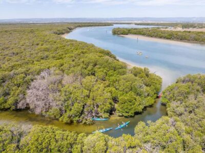 Dolphin Sanctuary Single or Double Kayak Rental