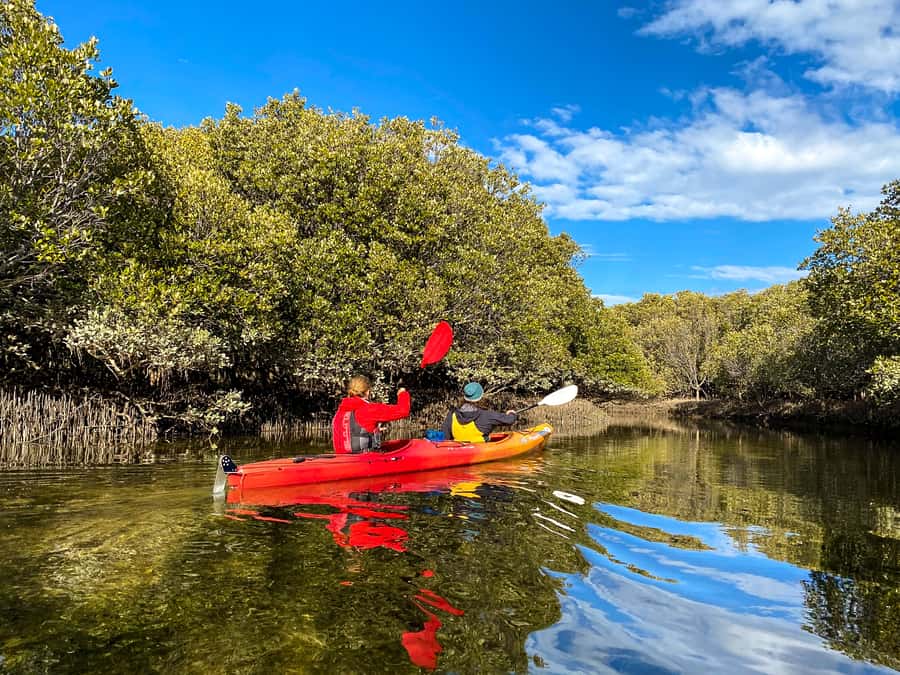Adelaide: Dolphin Sanctuary Single or Double Kayak Rental - Why the two-hour limit matters