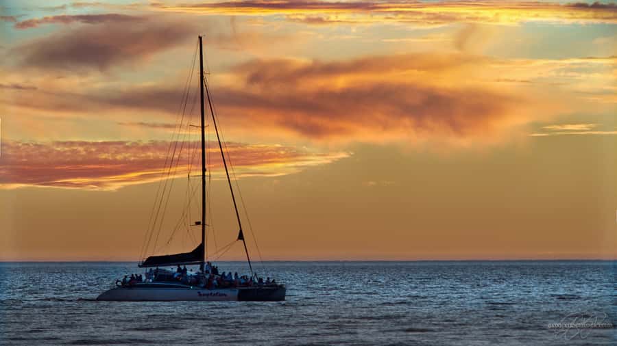 Adelaide: Glenelg Twilight Catamaran Cruise with Drink - Dolphins are a lucky extra