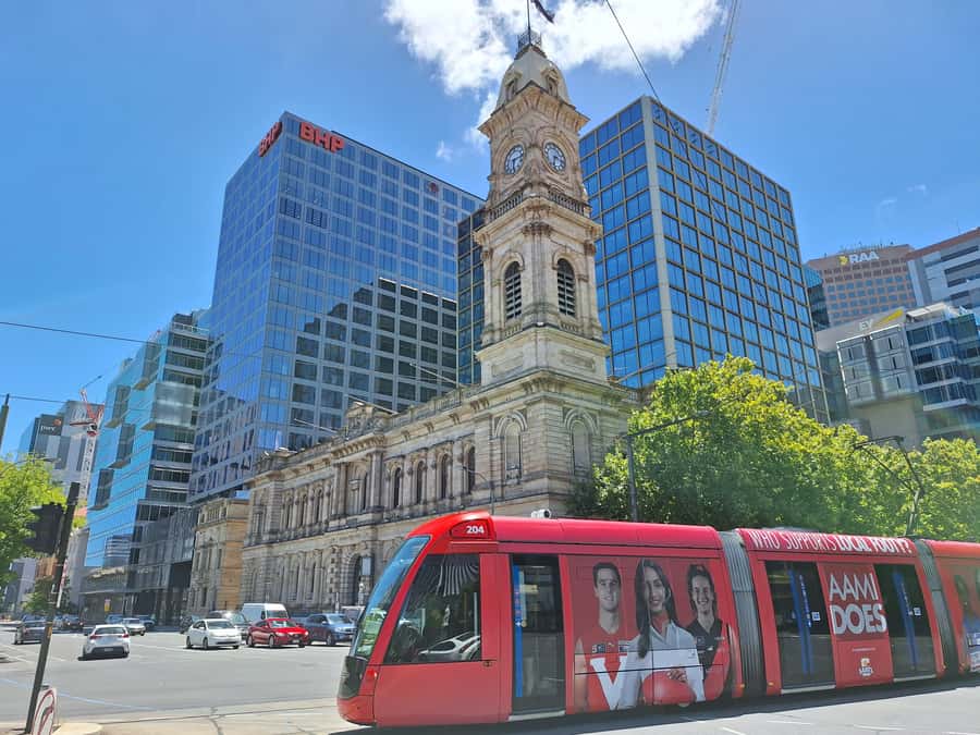 Adelaide: Guided Ultimate Walking Tour with Drink and Snack - Art, education, and the city’s public institutions