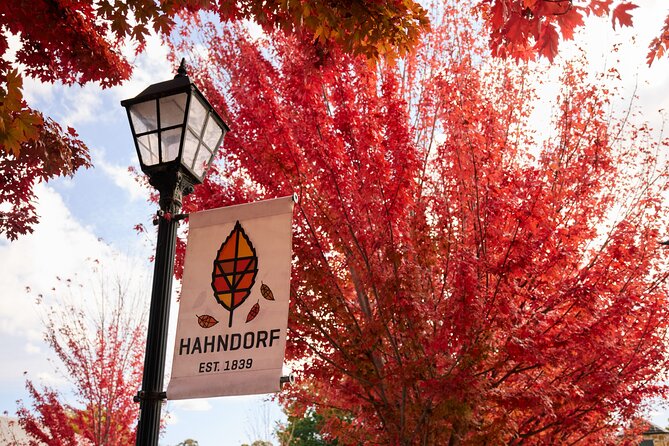 Adelaide Highlights, Hahndorf & McLaren Vale Wine Tasting and Sightseeing Tour - Glenelg offers a choice at the end