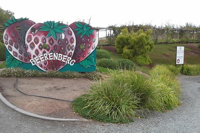 Adelaide Hills Regional / Hahndorf German Village Tour - Nepenthe Wines brings the first proper tasting stop