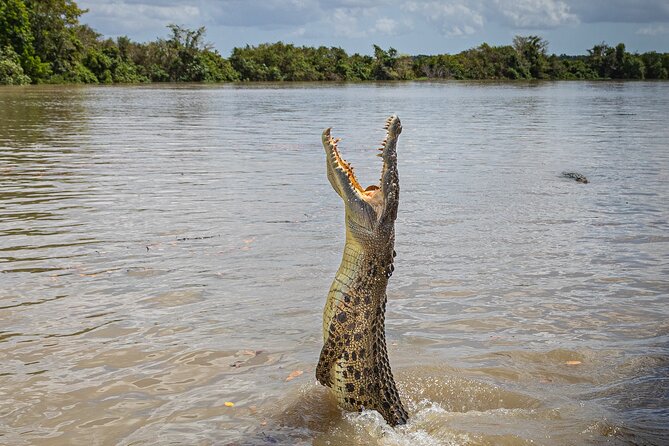 Adelaide River Cruises - Jumping Crocodile Experience - Key points to know before boarding