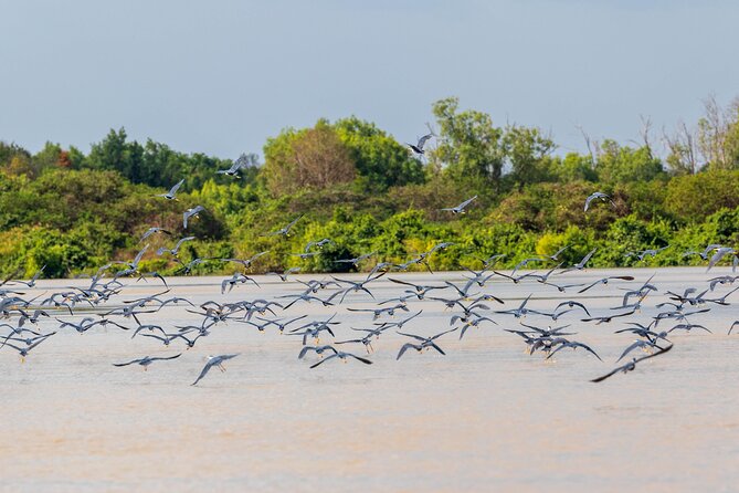 Adelaide River Cruises - Jumping Crocodile Experience - Getting the best views and photographs