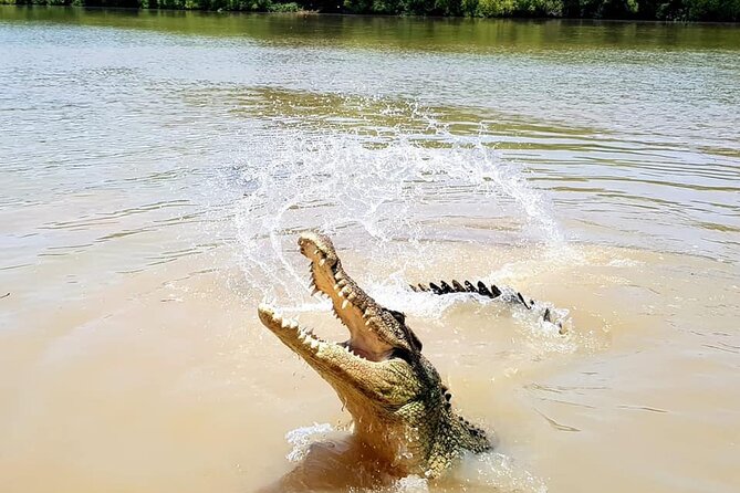 Adelaide River Cruises - Jumping Crocodile Experience - Who should book this cruise