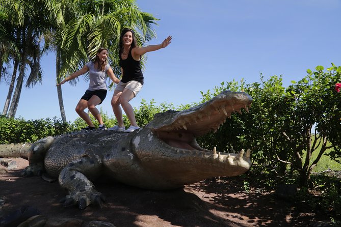 Adelaide River Jumping Croc Cruise - Fogg Dam, birds, and the wider wetland story