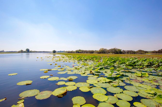 Adelaide River Jumping Croc Cruise - Is $121.21 a fair price?