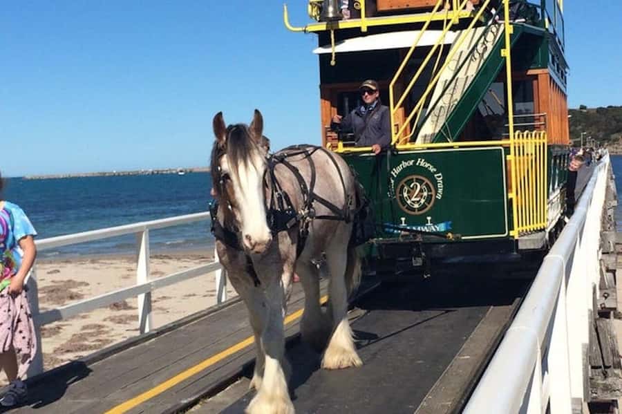 Adelaide: South Australia Guided Full-Day Highlights Tour - One day from Mount Lofty to the Southern Coast