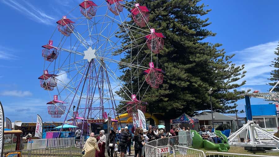 Adelaide: South Australia Guided Full-Day Highlights Tour - How the guide affects the experience