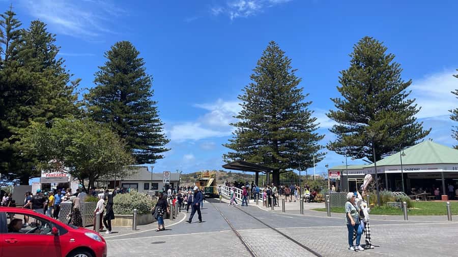 Adelaide: South Australia Guided Full-Day Highlights Tour - Practical tips for a smoother day