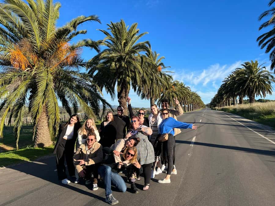 Adelaide: South Australia Guided Full-Day Highlights Tour - Hahndorf: German food, shops and a short wander